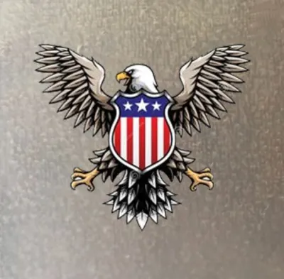 Logo Sticker Đại Bàng Eagle ủi áo tại nhà-IN LOGO THEO YÊU CẦU INBOX -công nghệ in pet chuyển nhiệt ủi trực tiếp lên áo rất đẹp-MAJESTIC.CLO-Luck
