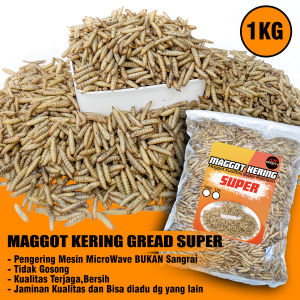 BERRITZ Maggot Kering Bsf Gread Super 1KG Pakan ikanReptilkura kurakura-kuraayamlandakburung
