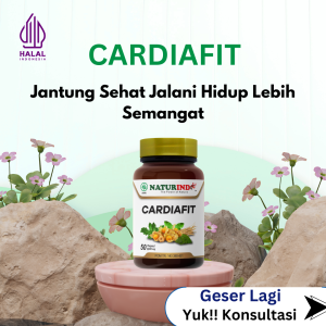 Obat Herbal Cardiafit Mengatasi Nyeri Dada Sesak Nafas Kolestrol Dan Masalah Jantung Lain Naturindo