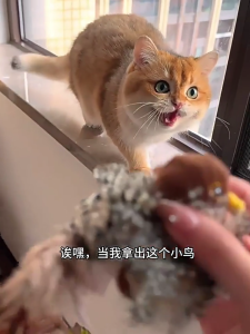 Realistic Bird Sound Plush Toy For Cats With Automatic Chirping And Vibrating Sensor To Stimulate Cats Hunting Instincts