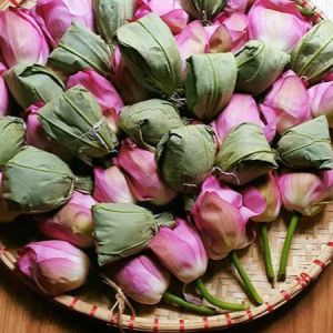 Trà Sen Hồ Tây Chè ướp bông sen sấy khô Quà biếu thượng hạng