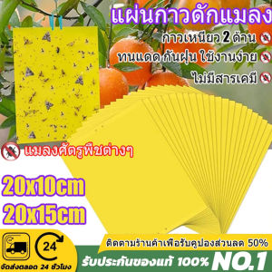 [แผ่นดักแมลงเหนียว กันน้ำ]20/50/100 แผ่น สีเหลือง แผ่นกาวดักแมลง แผ่นกาวดักแมลงขนาด 20x10 ซม. กาวดักแมลงวันทอง กับดักแมลงกินผัก กาวเหนียว 2 ด้าน (มีกาวในตัว) ดักแมลงศัตรูพืช สำหรับดักแมลงวันทอง แมลงศัตรูพืช​ต่างๆ