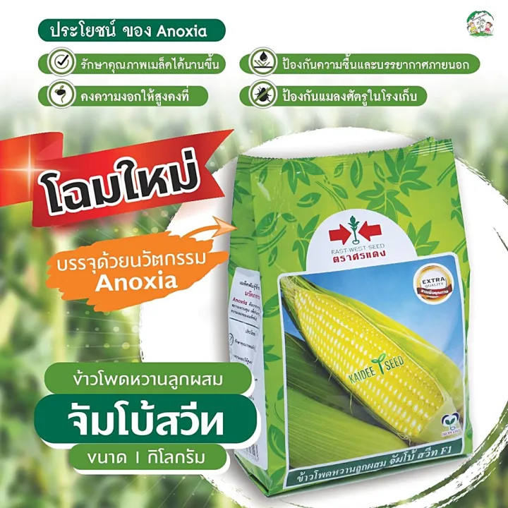 เมล็ดข้าวโพดหวาน จัมโบ้สวีท F1 ตราศรแดง