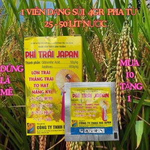 COMBO 10 tặng 1 VIÊN PHÌ TRÁI JAPAN DẠNG SỦI 4GR NẶNG KÝ LỚN TRÁI PHÌ TRÁI ĐẸP MÃ TỚI CẬY