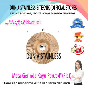 Mata Gerinda Kayu Parut /Wood Shaping Disc 100mm (Flat)