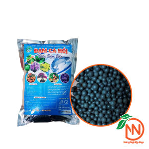 Đạm Cá Hồi Đậm Đặc Gói 1kg - Phân Cá Hữu Cơ Dùng Cho Hoa Mai Hoa Hồng Rau Sạch