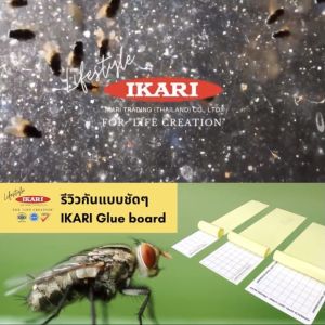 IKARI GLUEBOARD แผ่นกาวดักแมลง จํานวน 10แผ่น กาวเป็นตรฐาน พร้อมตารางวัดค่าแมลง มีใบรับรอง MSDS COA สั่งตัดได้ทุกขนาด