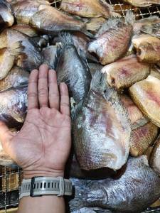 ปลาสลิดแดดเดียวอ่างทองเค็มน้อยตัวใหญ่เนื้อเยอะ 2-3ตัว/500กรัมรับประกันไม่มีกลิ่นคาวกลิ่นตุปลาสดใหม่เนื้อแน่น📣กรุณาอ่านรายละเอียดก่อนสั่งซื้อ