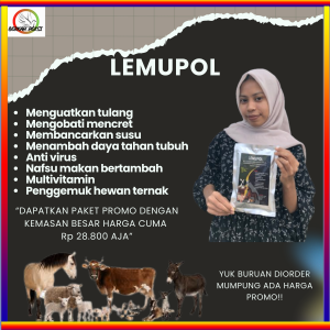 PROMO PENGGEMUK TERNAK LEMUPOL MENGUATKAN TULANG MULTIVITAMIN MENINGKATKAN DAYA TAHAN TUBUH SAPI KAMBING DOMBA KERBAU DLL
