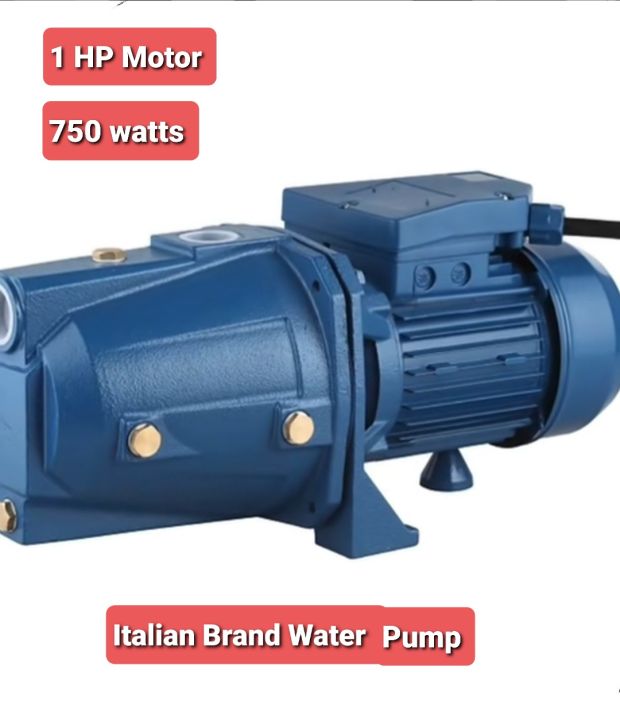 Jetmatic Italian 1HP Water Pump Booster, 750W JetFlo Powerful Shallow ...