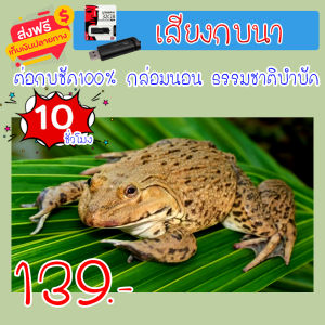 เสียงต่อ เสียงกบนา ต่อกบชัดเจน กล่อมนอน ธรรมชาติบำบัด ความยาว 10 ชม.เสียงดัง เสียงใสกังวาน ได้ผล 100%