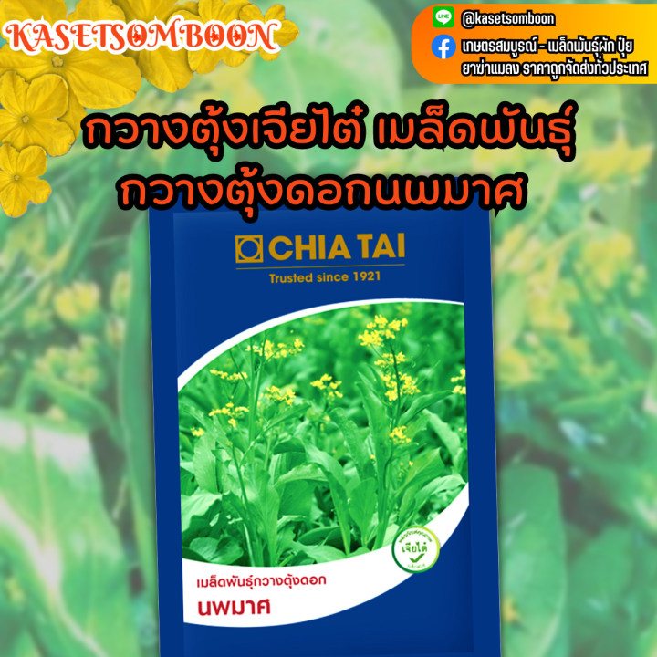 สุดยอดเมล็ดพันธุ์กวางตุ้งดอก 2025: ปลูกง่าย งอกดี เก็บเกี่ยวไว! 🥬