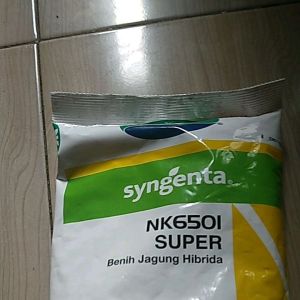 Benih Jagung Syngenta NK6501 Super: Panduan Lengkap