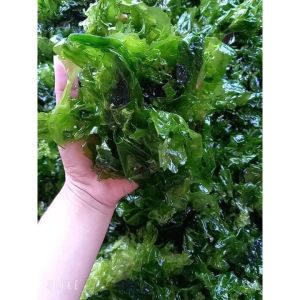 [HCM]Rong Xà Lách Biển Ulva Lactuca 500G Gram Nấu Canh - RONG BIỂN XÀ LÁCH KHÔ - ăn vặt