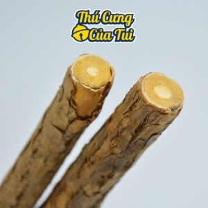 Cây Gỗ Catnip Bạc Hà Cho Mèo Gặm Trắng Răng - Thú Cưng Của Tui