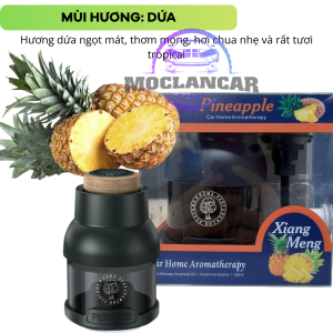 Nước Hoa Ô Tô BUSHINECO Home Perfume Hương Thơm Tự Nhiên Khử Mùi Ô Tô Hiệu Quả Dung Tích 100ML
