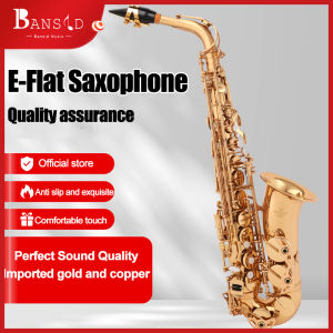 Bansid  saxophone instrument sale Alto E key Saxophone Brass Lacquered Alto Sax Wind Instrument with Carry Case Gloves Straps Cleaning Cloth Brush