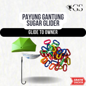 Payung gantung sugar glider payung gantung tembok mainan sugar glider