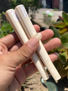 pipa gading asli lokal panjang 12cm model segilapan mulus