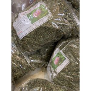 Cây xấu hổ khô