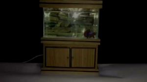 aquarium mini satu set kabinet free pasir