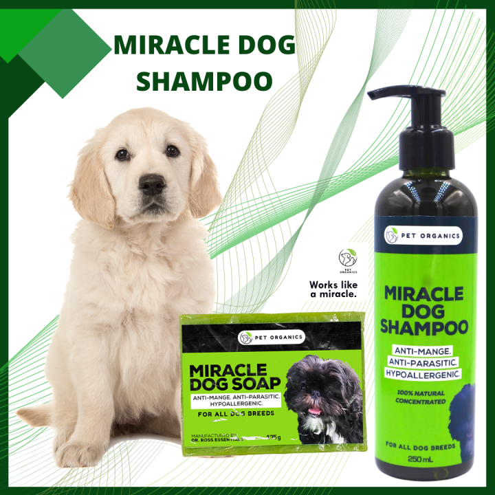 PERFECT FOR YOUR PUPPIES It s Help With Skin Problems. MIRACLE DOG SHAMPOO AND MIRACLE DOG