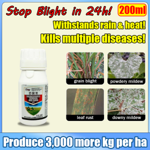 Broad-spectrum long-acting grape fungicide Chlorothalonil fungicide Cucumber powdery mildew control Systemic fungicide Pepper fungicide