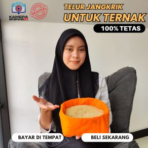Jual telur jangkrik jenis alam madu kualitas bagus produksi sendiri kemasan 1 kg ready stock siap kirim