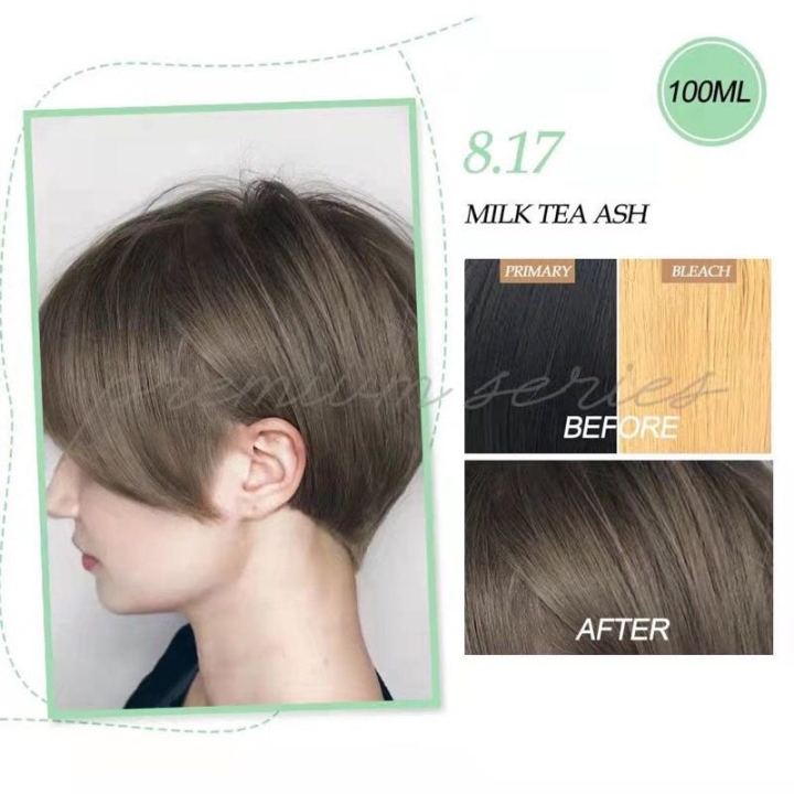 8.17 Milk Tea Ash Colour (Bremod Premium Series) 100ml | Lazada Philippines