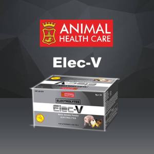 Viddavet Elec-V 24 Packs - Premium Dog & Cat Health Supplement Sachets (6g Each) - Immune & Digestive Support