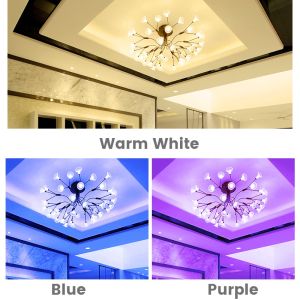AceDeal [Support Lalamove Bulk Orders] 50/100Meters W/ Plug LED Strip Light TriColor Strip Waterproof 5730 120 LEDs/M TriColors With Remote Control Dimming Super Bright Flexible Light For Indoor Outdoor Lighting