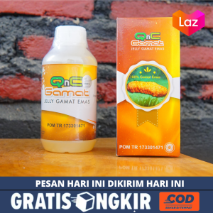 Jelly Gamat - Qnc Jelly Gamat Obat Asam Urat dan Rematik Sakit Pinggang Nyeri Badan Semua