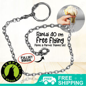 SEMPATI RANTAI BURUNG FALK RING BORGOL IMPORT 6 MM RANTAI FF UMBARAN FREE FLYING RANTAI GELANG KAKI RING BURUNG PARKIT AUSTRALIA COCKATIEL CUCAK RAWA CUCAK HIJAU DERKUKU TEKUKUR RED GREEN CONURE