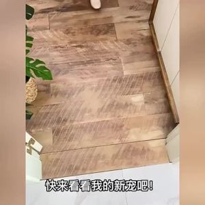 Cartoon Clouds Dust Removal Household Silk Ring Floor Mats Entrance Door Mud Scraping Anti-Slip Carpet PVC Foot House