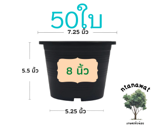 กระถางต้นไม้ 8 นิ้ว 50ใบ (ปากกว้าง 7.5นิ้ว) กระถางต้นไม้พลาสติก กระถางแคตตัส กระถาง สีดำ ราคาส่ง