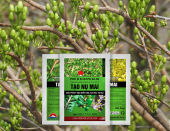 Phân bón Tạo nụ mai vàng tạo mắt kim Nhật Bản Fj-04 50g - Lazada