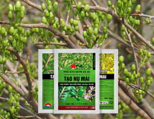 Phân bón Tạo nụ mai vàng tạo mắt kim Nhật Bản Fj-04 50g