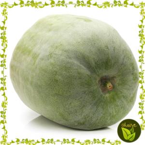 10 seeds for planting Benincasa hispida wax gourd wintermelon condol kondol ash pumpkin binhi