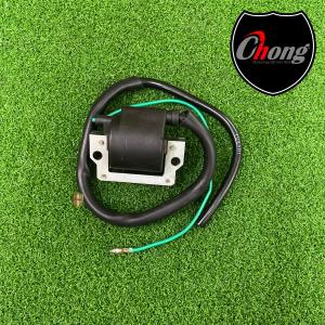 RXZ/YB100 TOK PLUG COIL ....