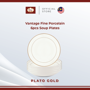 Vantage Fine Porcelain Plato Gold 6 in 1 Soup Plate