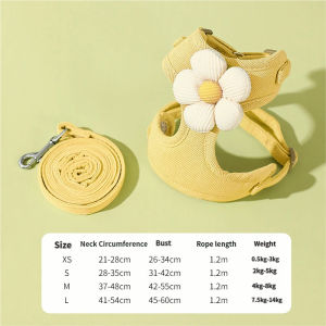 Lovinland thú cưng có thể điều chỉnh chống bung dây dắt thú cưng và dây an toàn khóa không thắt vest cho đi dạo ngoài trời