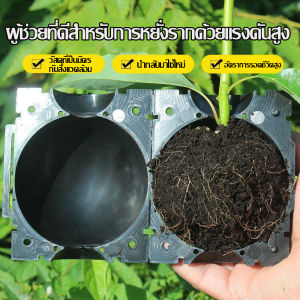 การปลูกถ่ายอวัยวะสูงสิ่งศักดิ์สิทธิ์พืชสวนตัดแถบพืชกล่องขยายพันธุ์รากสูงต้นไม้ผลไม้กระถางดอกไม้พลาสติก