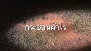 Ratjat กระชอนผ้าไร ที่ตักไรแดง กระชอนไรแดง ด้ามจับแข็งแรงผ้าคุณภาพดี (ขนาด7นิ้ว กลม)