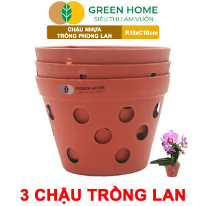 Bộ 3 Chậu Trồng Lan Greenhome R15xC10cm Nhựa Màu Gốm Bền Đẹp Chống Rơi Vỡ Thoáng Rễ Giá Thành Tốt