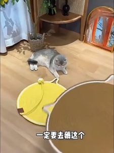 43CM Cat Scratching Mat Cat Ear Shape Woven Scratcher Pad for Cats Protect Furniture Cat Scratching Board
