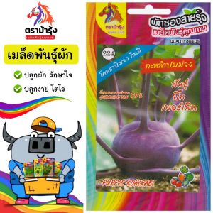 ม้ารุ้ง 🇹🇭 รวมผักม้ารุ้ง ผักซอง สามเอ ผักหัว 10ชนิด *คละชนิดได้ เพียงกดเพิ่มชนิดลงรถเข็น* ผักกาดหัว กะหล่ำ แครอท หัวไชเท้า เมล็ดพันธุ์