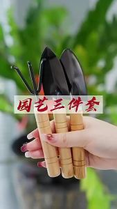 Set Of 3 Gardening Hand Narrow Head Trowel Wooden Handle  Garden Tool Shovel