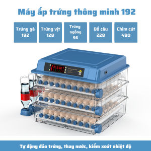 Máy ấp trứng mini thông minh Dương Ninh tích điện sử dụng 220v & 12v MAT08