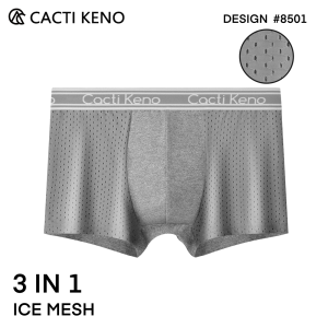 Mens Ice silk Boxer briefs For Men Breathable solid color underwear mens ultra-thin mesh trousers boxer briefs for men Fashion Ice Silk Boxers Plue size 3XL 4XL 5XL