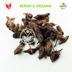 Umbi Suket Teki Kering 250gr Rumput Teki / Umbi Manggata Liar